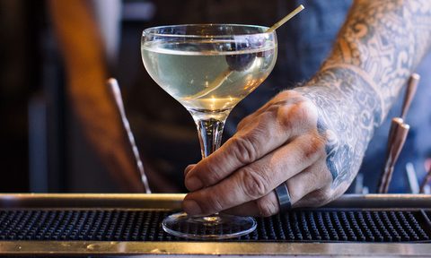 fennel cocktail This is the Martini You’ve Been Looking For