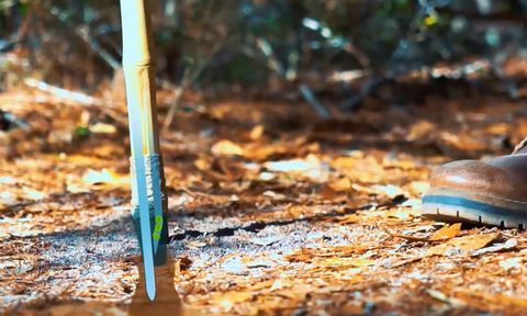 fytostick trekking pole plants seeds