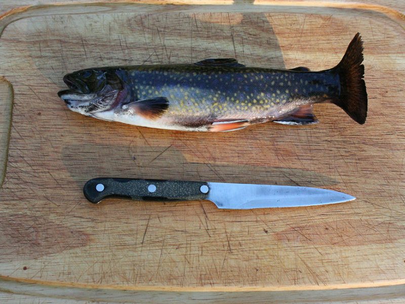 Trout on a cutting board with a kinife