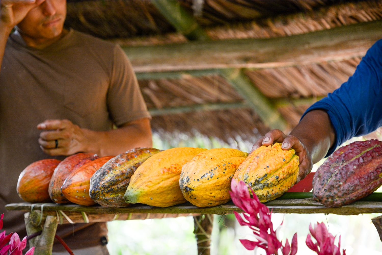 contiki tours me and we ecuador travel experience to minga learning center 1010