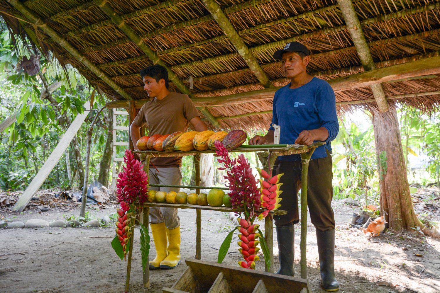 contiki tours me and we ecuador travel experience to minga learning center 99