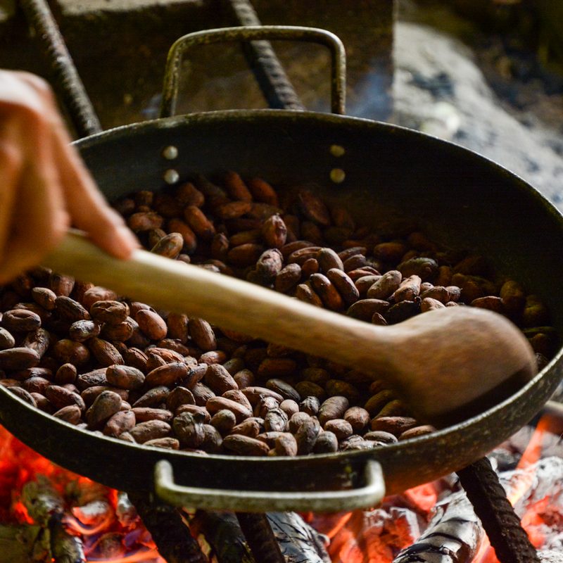 contiki tours me and we ecuador travel experience minga lodge chocolate making 1
