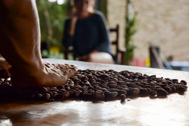 contiki tours me and we ecuador travel experience minga lodge chocolate making 2