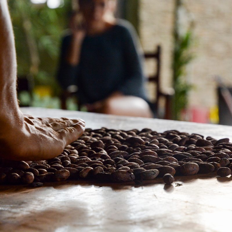 contiki tours me and we ecuador travel experience minga lodge chocolate making 2