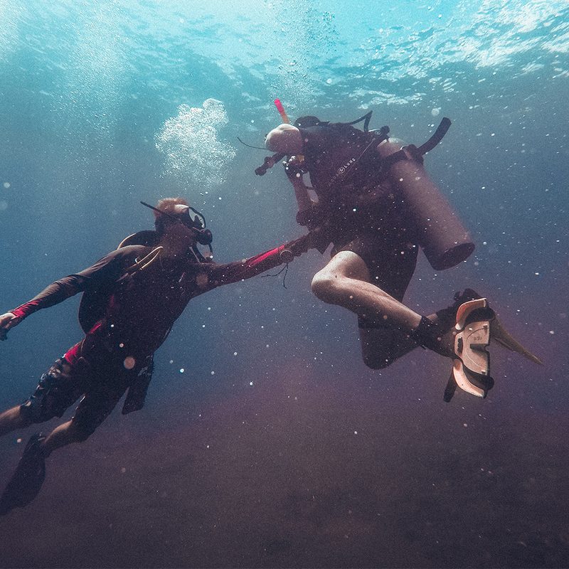 people scuba diving