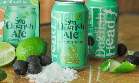 sour beers craft beer gateway brew sea quench dog fish