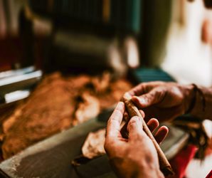 Man holding a Cuban cigar