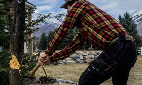 Man chopping a tree