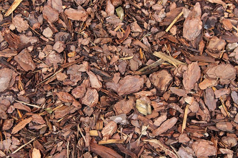 pine mulch