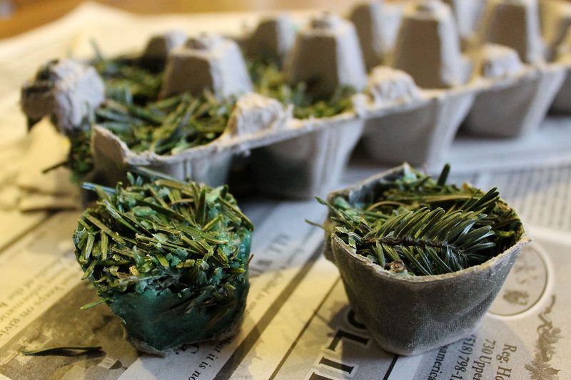 pine needle fire starter