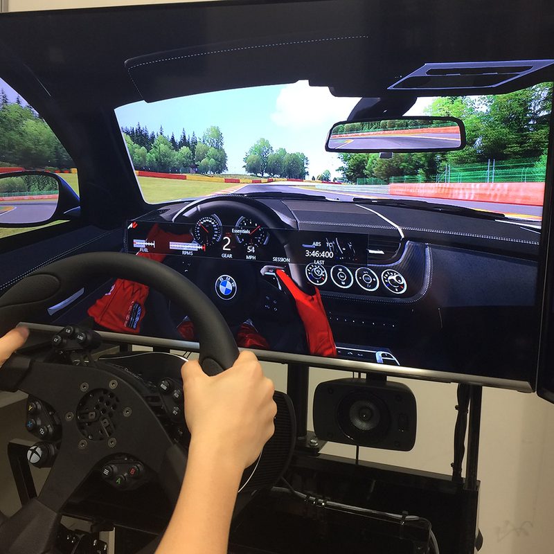 Simulation racing