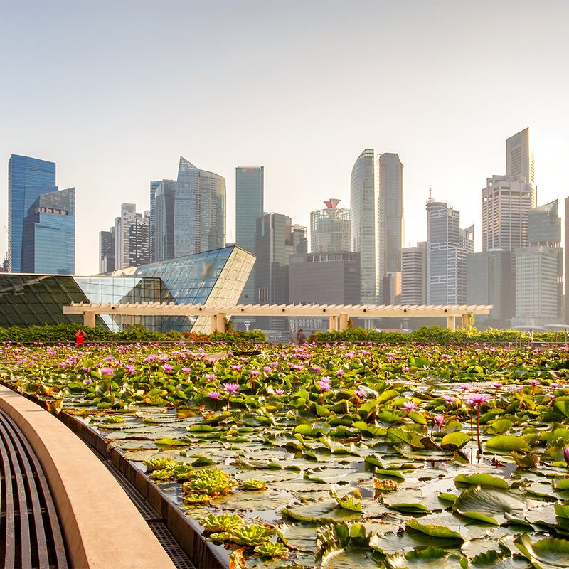 Singapore Skyline