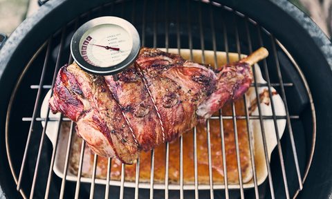 barbecue grill lamb meat thermometer