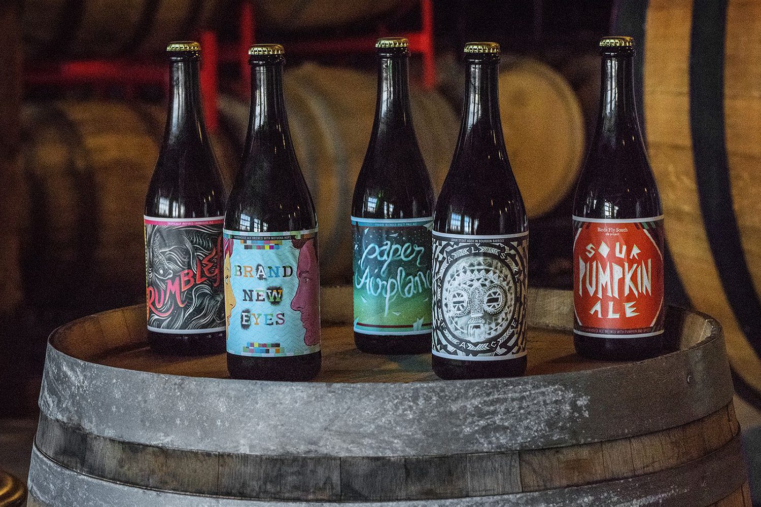 Birds Fly South Ale Project South Carolina