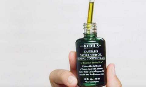 kiehls cannabis sativa oil herbal concetrate hero image