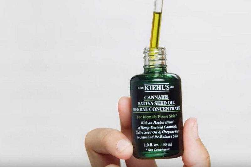 kiehls cannabis sativa oil herbal concetrate hero image