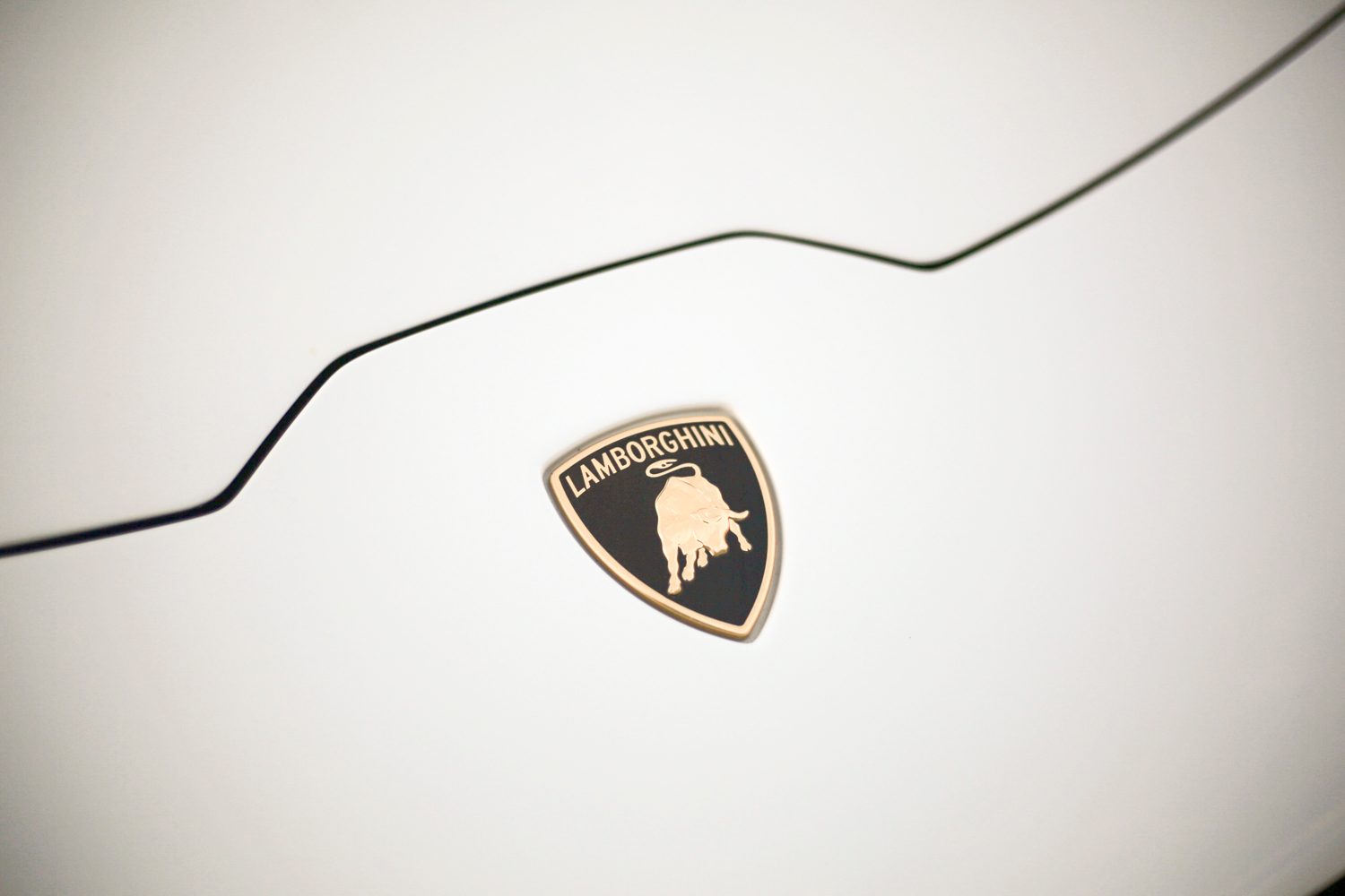 Lamborghini logo