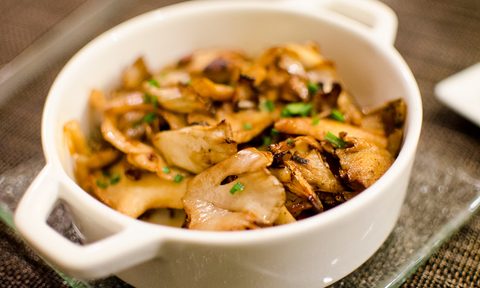 medicinal mushrooms guide maitake mushroom flickr