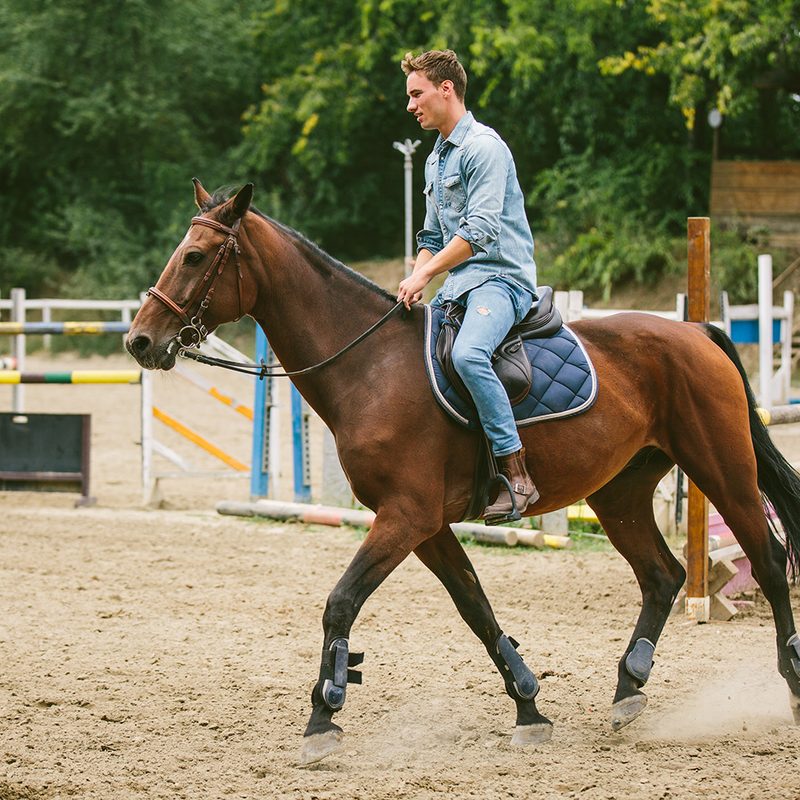 How to Ride a Horse Like a Proper Gentleman - The Manual