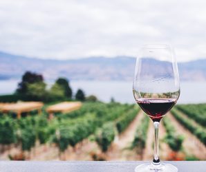 what is natural wine guide mem 2