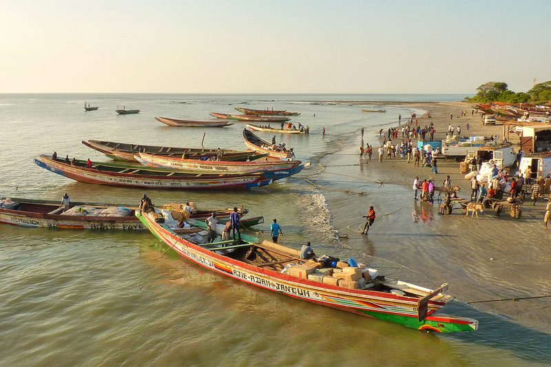 gambia river