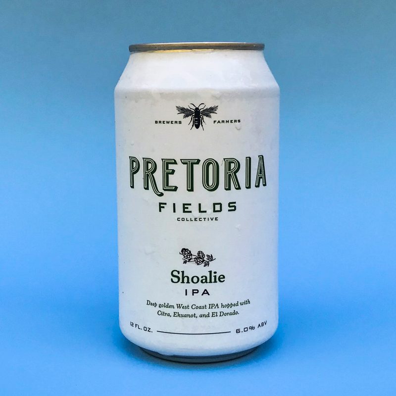 everything you need to know about pretoria fields collective 2