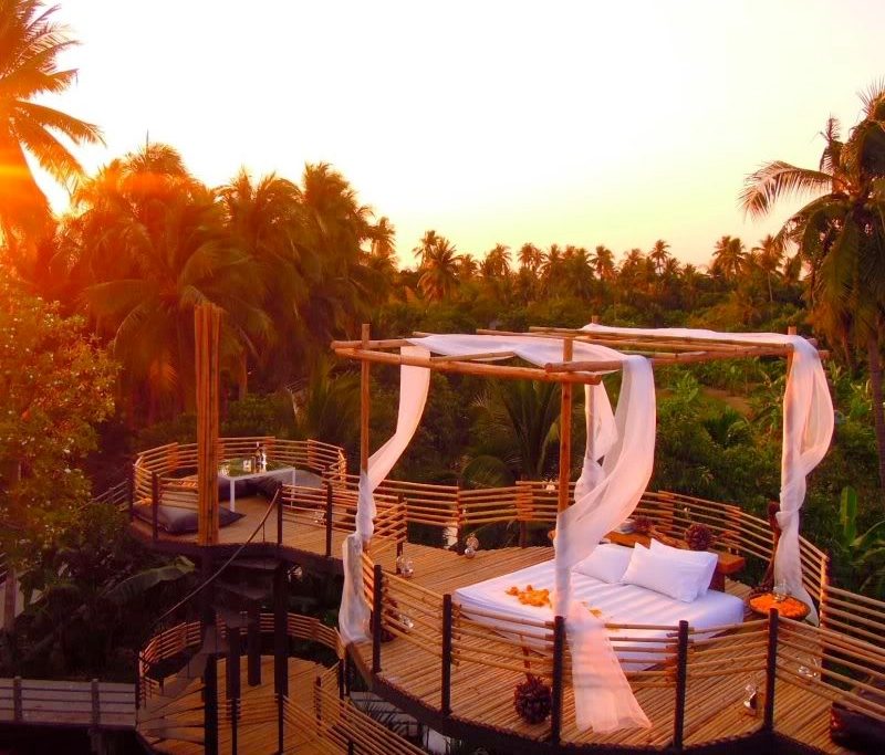 Bangkok Treehouse