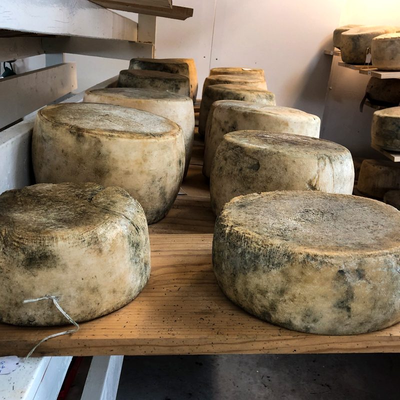 beards booze bacon cheese guide blue ridge creamery episode 2