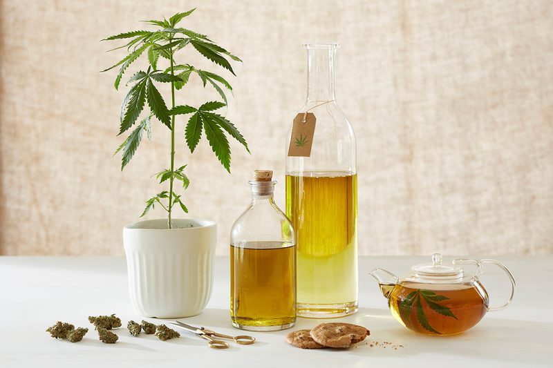 cbd oil hemp marijuana edible product