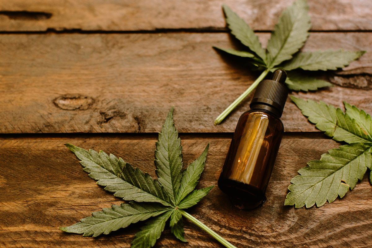cbd oil hemp marijuana leaf