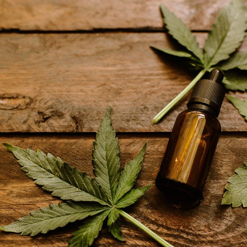 CBD oil with hemp leaves around it