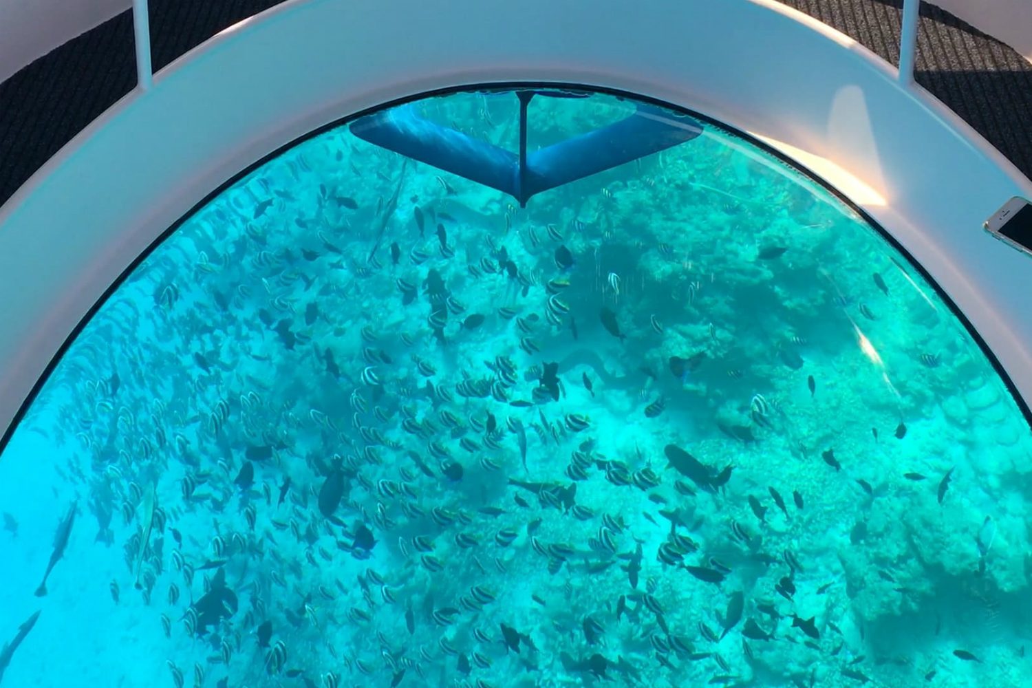 looker 370 glass bottom boat 2