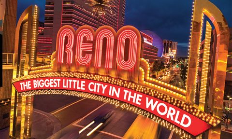 win a dog friendly reno tahoe getaway to celebrate national puppy day arch gone contest