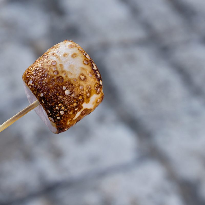 Roasted marshmallow on a stick