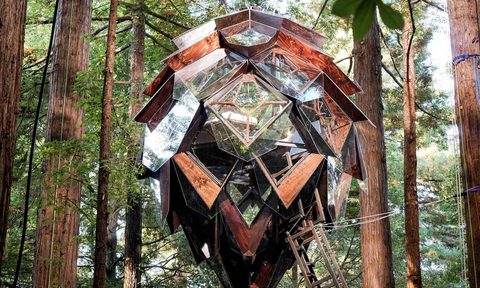 pinecone treehouse
