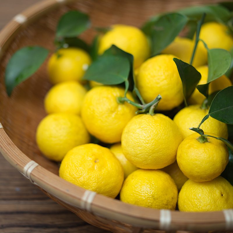 Yuzu fruit citrus
