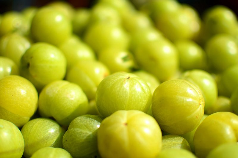 amla indian gooseberry fruit