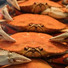 crab