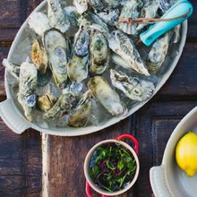 how-to-grill-oysters-ingredients-square
