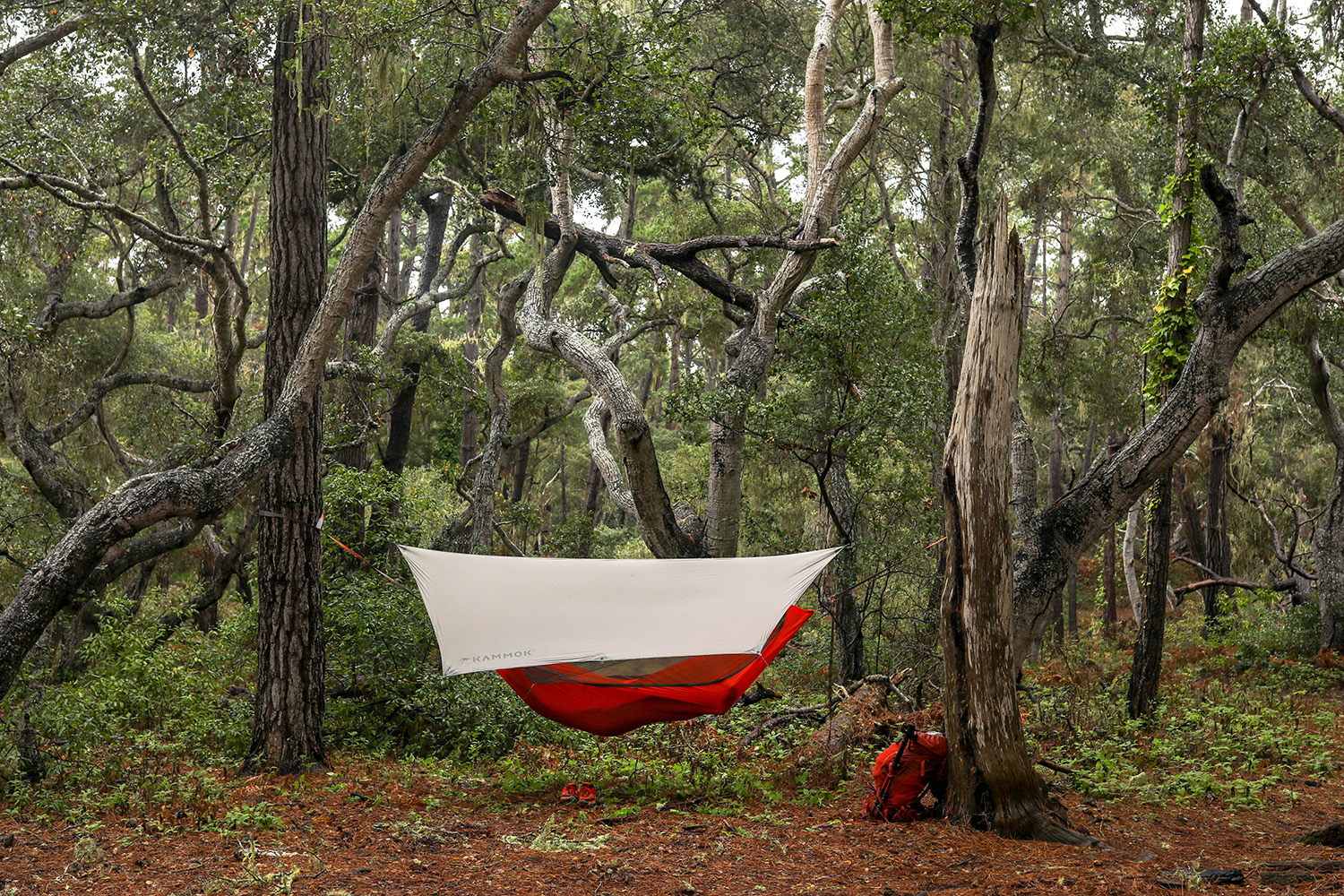 kammok mantis hammock