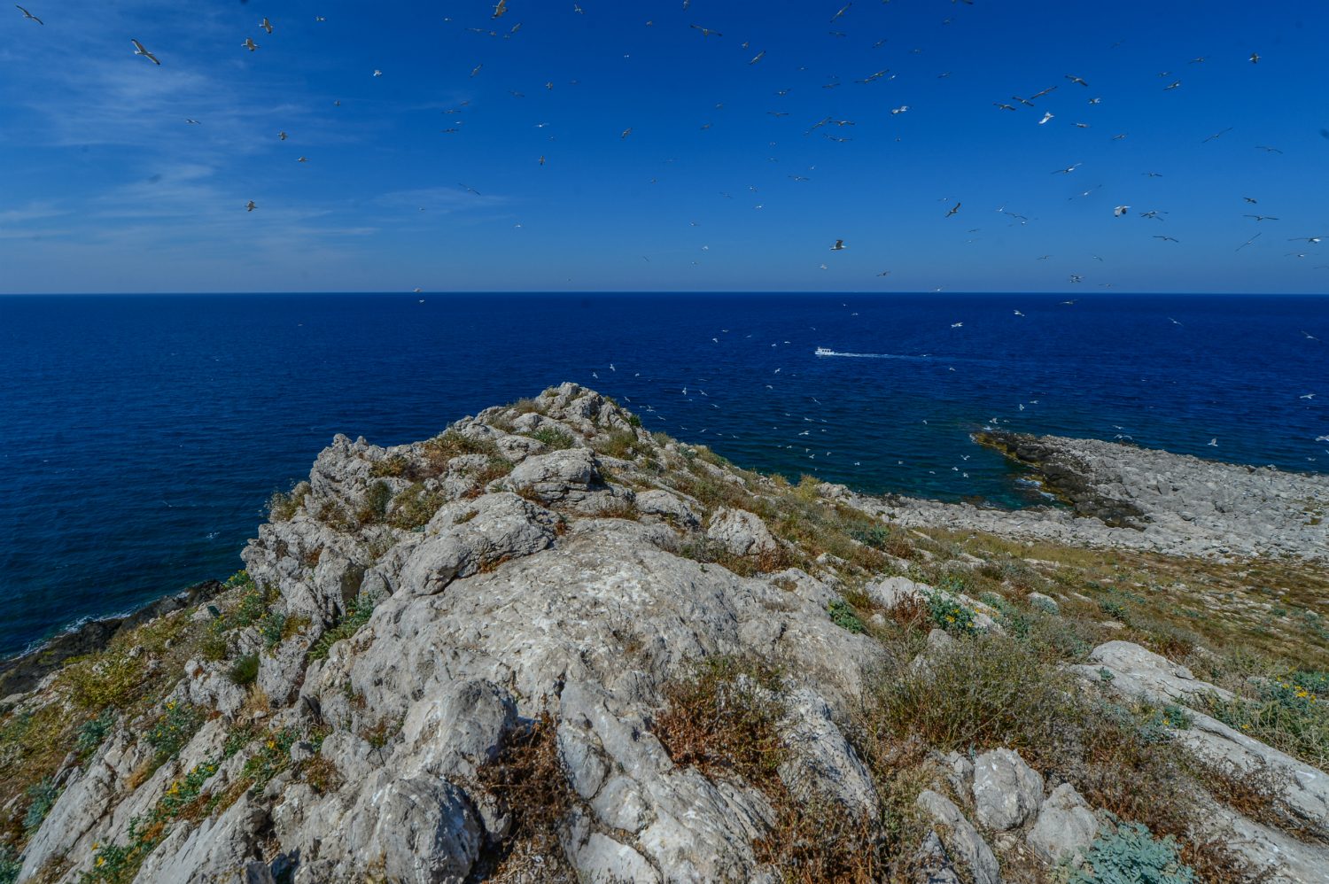 isola delle femmine italian island for sale sicilian 2