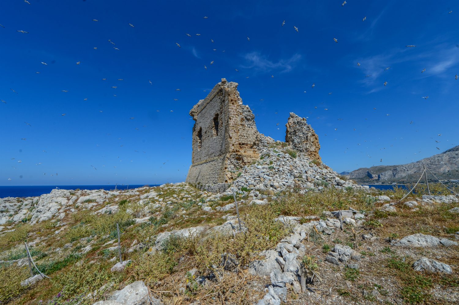 isola delle femmine italian island for sale sicilian 3