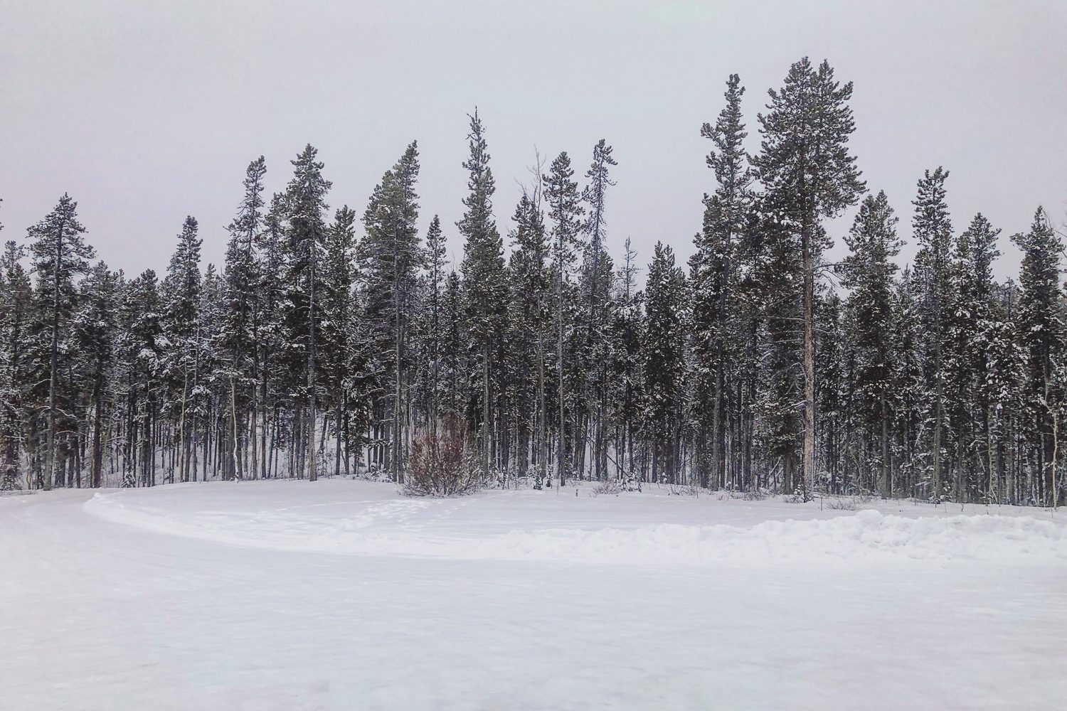 yukon canada travel guide  2019 10