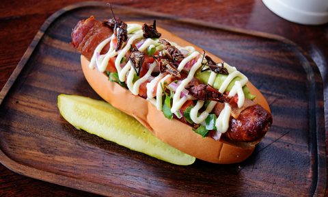 memorial day recipe chili lime grasshoppers chilie ckrickets on hot dog edit