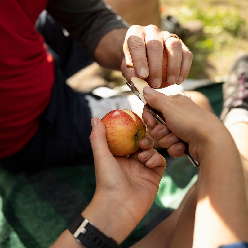 Man taking pieces of sliced apple off someone