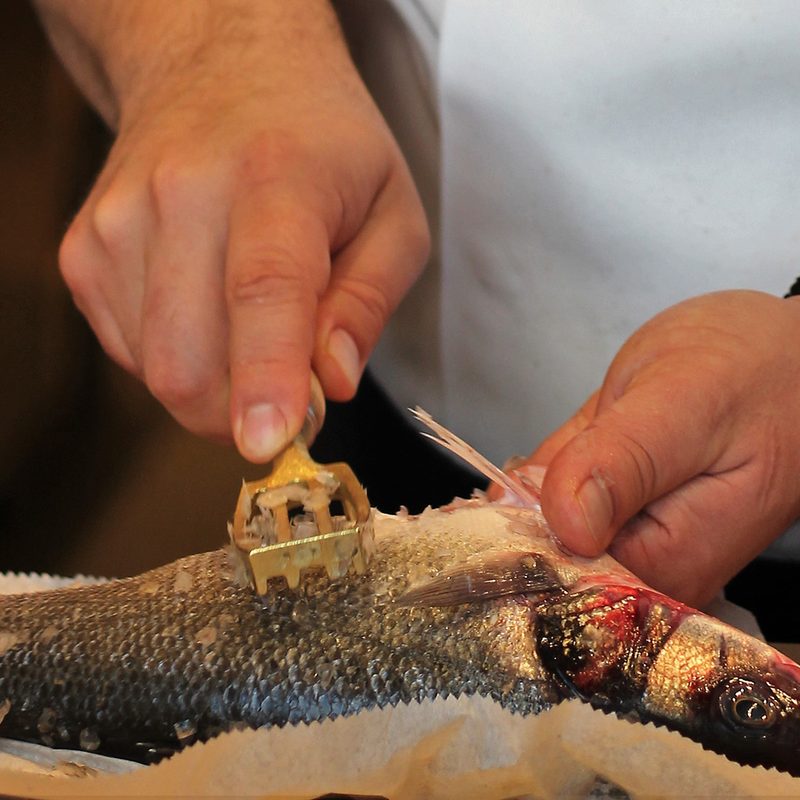 Close-up of Ben Steigers aging fish