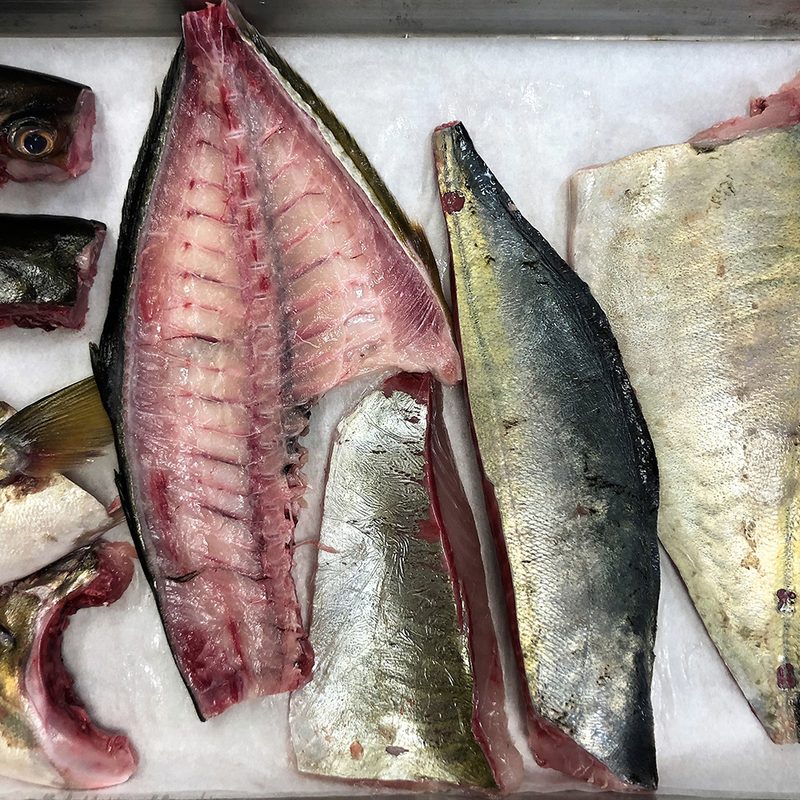 Aged fish by PABU