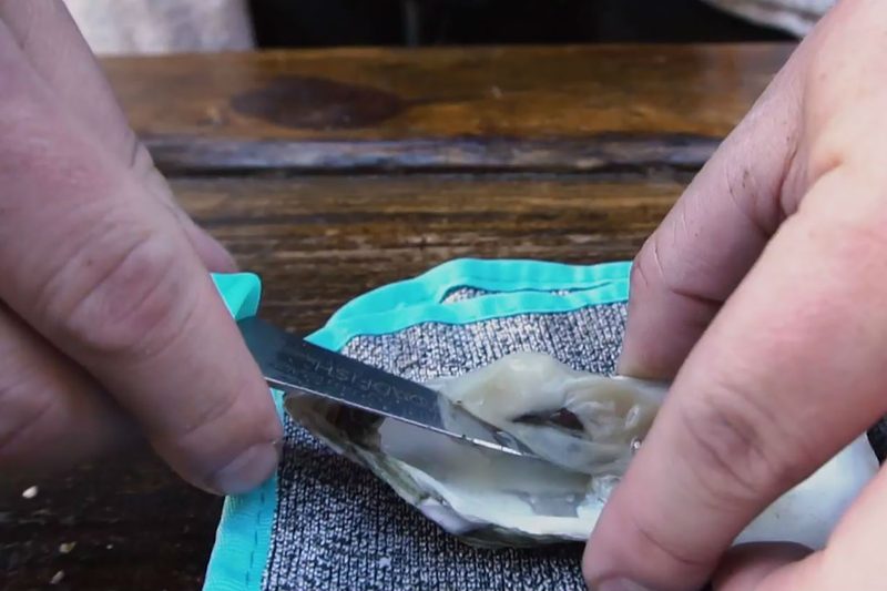 how-to-shuck-oysters-2