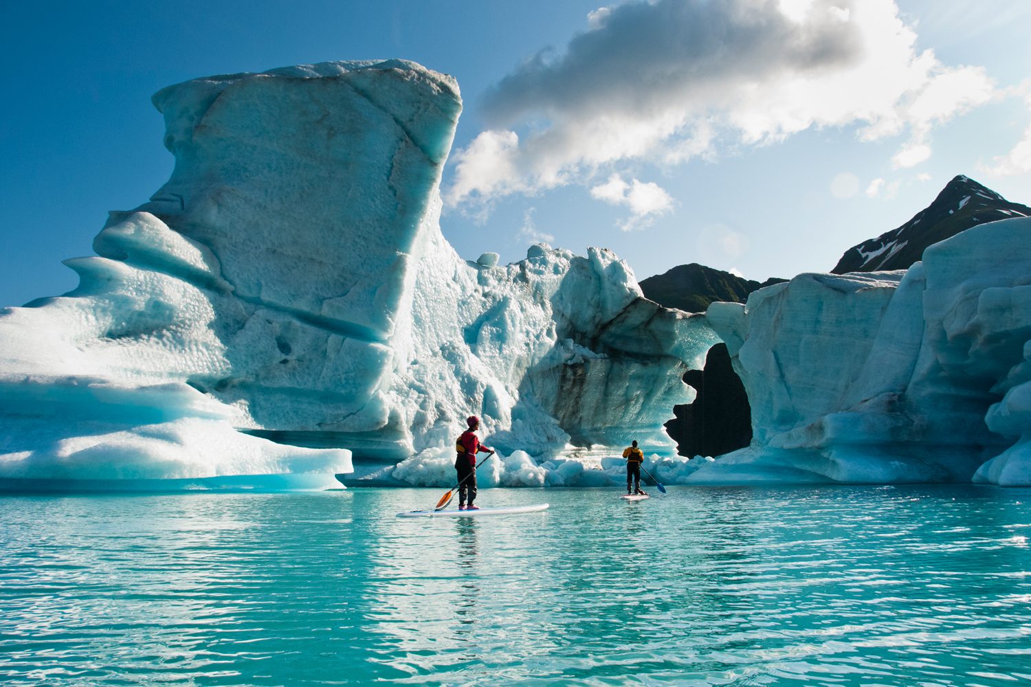 Kenai Fjords national Park