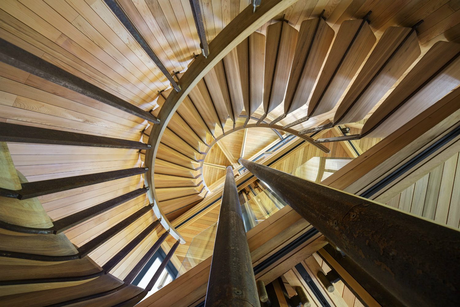 treehouse tree house constantia residence malan vorster 10a  1
